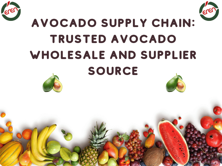 Avocado Supply Chain: Trusted Avocado Wholesale and Supplier Source