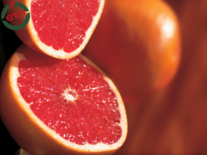 Best Grapefruit Wholesale and Bulk Supply – Fresh Grapefruit Delivered