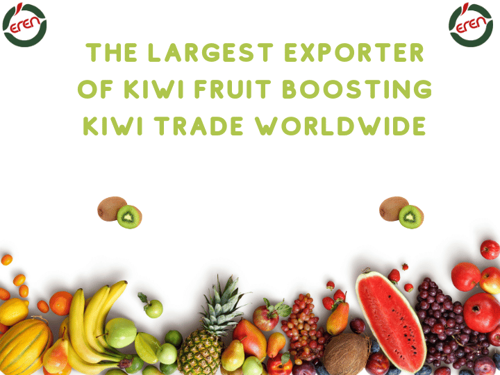 The largest exporter of kiwi fruit boosting kiwi trade worldwide